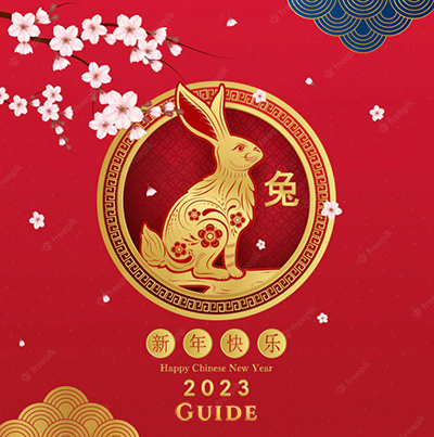 Year of the Rabbit 2023 Guide